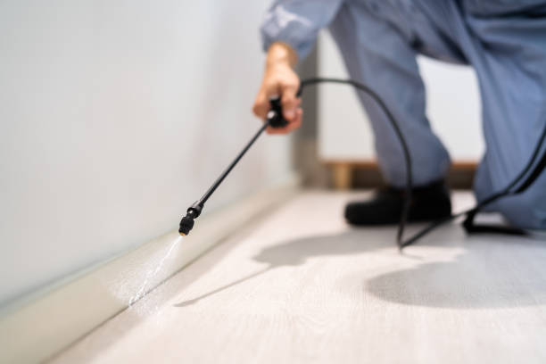 Licensed Pest Control service in Schriever, LA - Show Me Pest Control