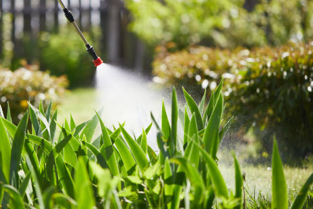 24/7 Emergency Mosquito Control experts in Schriever, LA